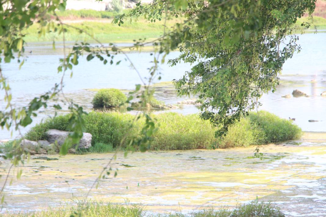 Seyhan Nehri’nin rengi değişti. Bu görüntünün sebebi ne? 10